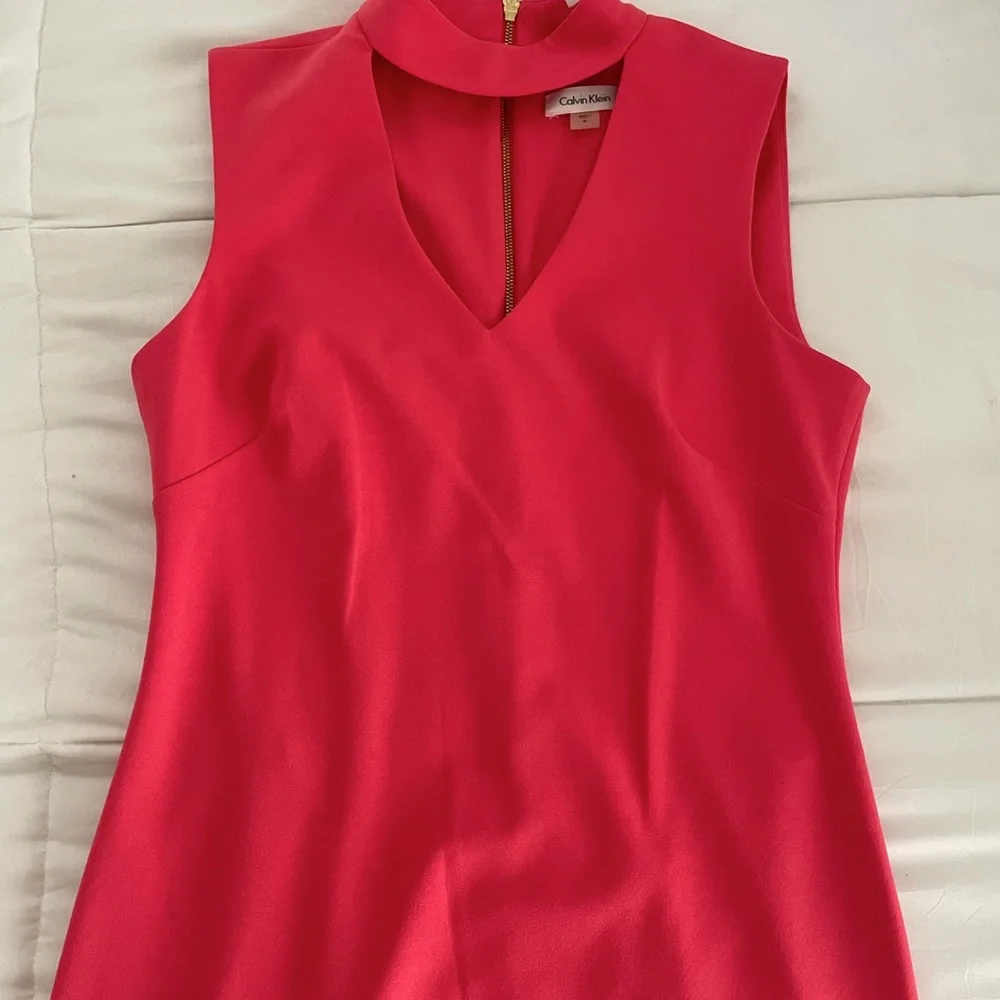 Pink Dress - Picture 2 of 4